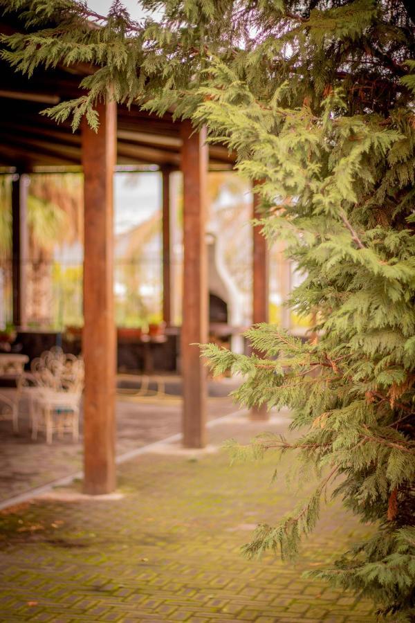 לינה וארוחת בוקר Motta SantʼAnastasia Bed & Breakfast Kalinka מראה חיצוני תמונה